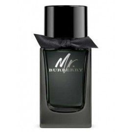 TST BURBERRY MR. BURBERRY EDP 100 ML