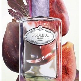 TST PRADA INFUSION DE FIGUE EDP 100 ML