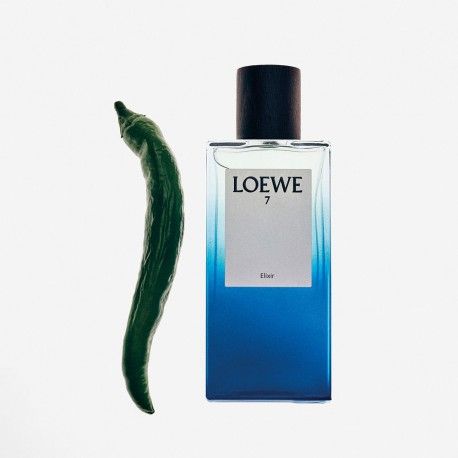 TST LOEWE 7 ELIXIR 100 ML