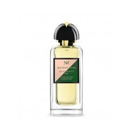 TST MAISON NOIR QUANDOLEY 805 EDP 100 ML